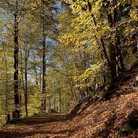 Haus Zur Bienenweide Leilighet Schömberg Eksteriør bilde